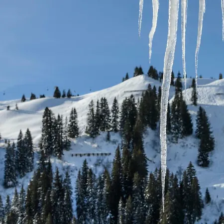 Almstueble Bergfrieden 2*