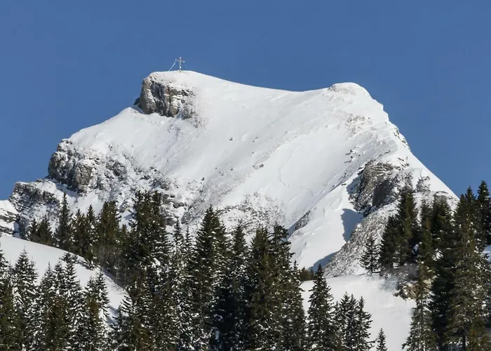 ホテル Almstueble Bergfrieden 2*